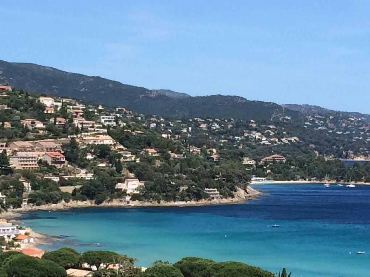 Appartement Altair Le Lavandou Luaran gambar