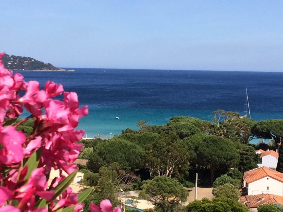 Appartement Altair Le Lavandou Luaran gambar