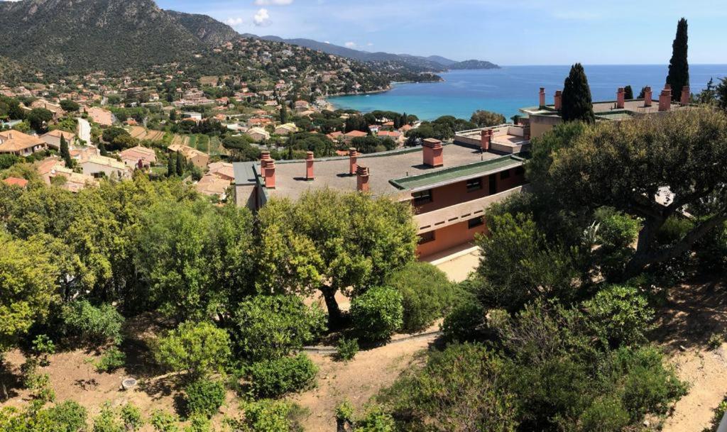 Appartement Altair Le Lavandou Luaran gambar